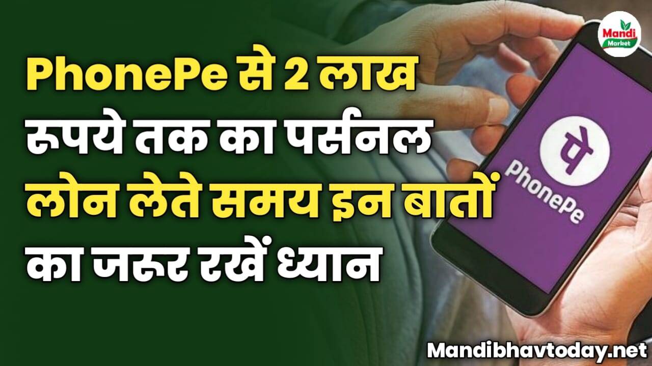 PhonePe से 2 लाख रूपये तक का Personal Loan लेते समय इन बातों का जरूर रखें ध्यान, कम ब्याज पर मिल जाएगा लोन