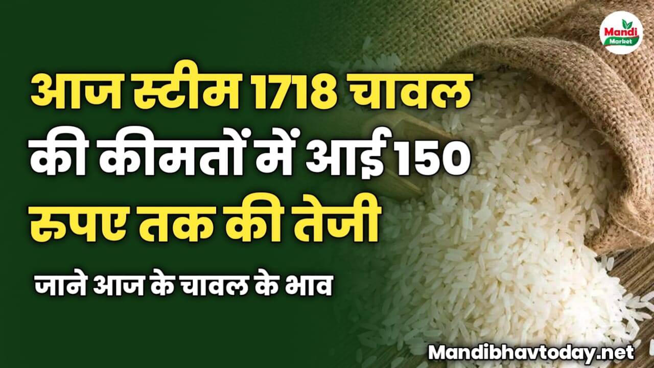 आज स्टीम 1718 चावल की कीमतों में आई 150 रुपए तक की तेजी | जाने आज के चावल के भाव 