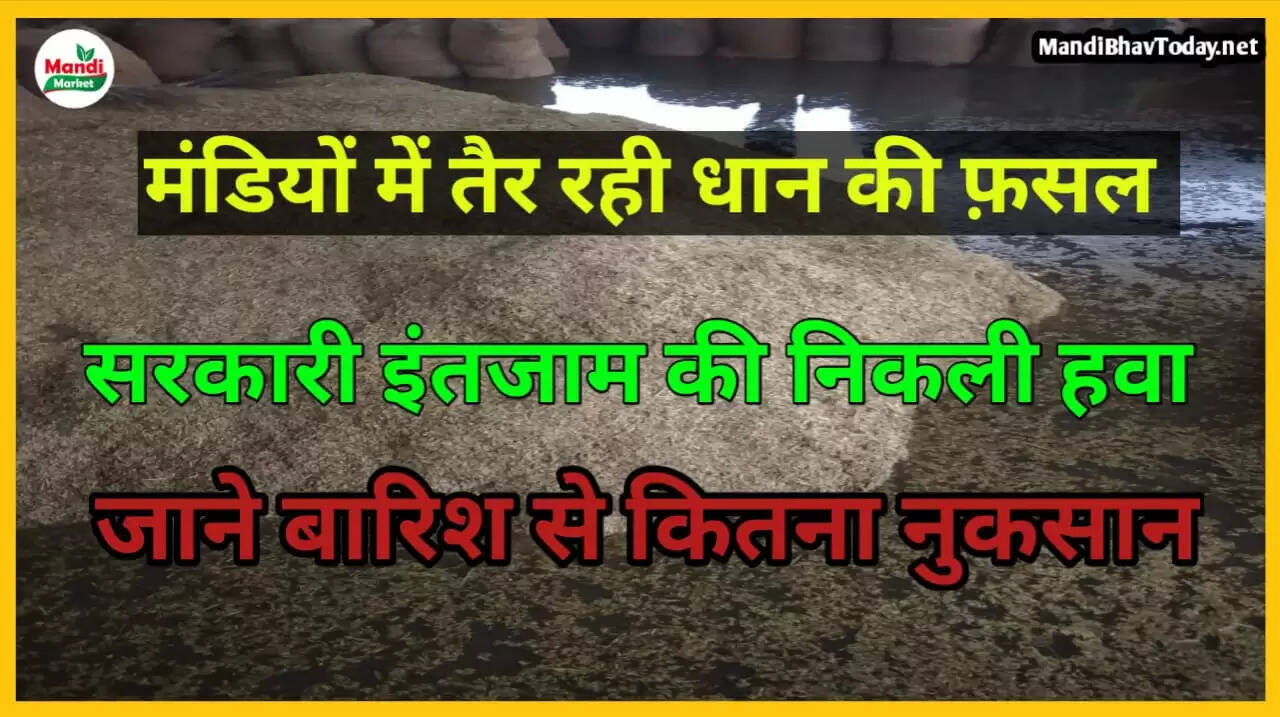 mausam ki khabar