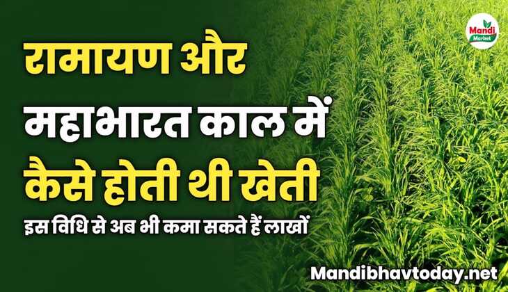 रामायण और महाभारत काल में कैसे होती थी खेती | इस विधि से अब भी कमा सकते हैं लाखों | देखें पूरी डिटेल्स