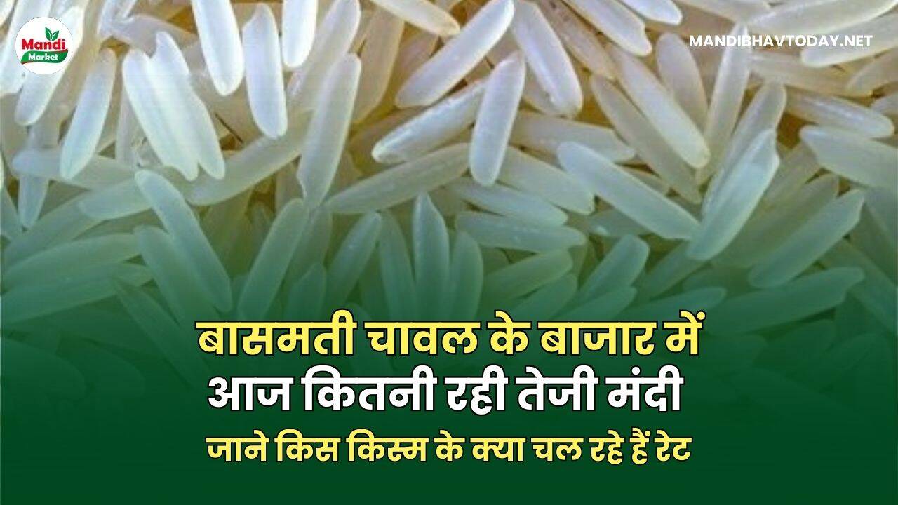 basmati bhav