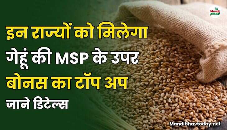 इन राज्यों को मिलेगा गेहूं की MSP के उपर बोनस का टॉप अप | जाने डिटेल्स