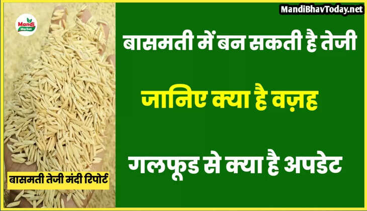 basmati teji mandi report