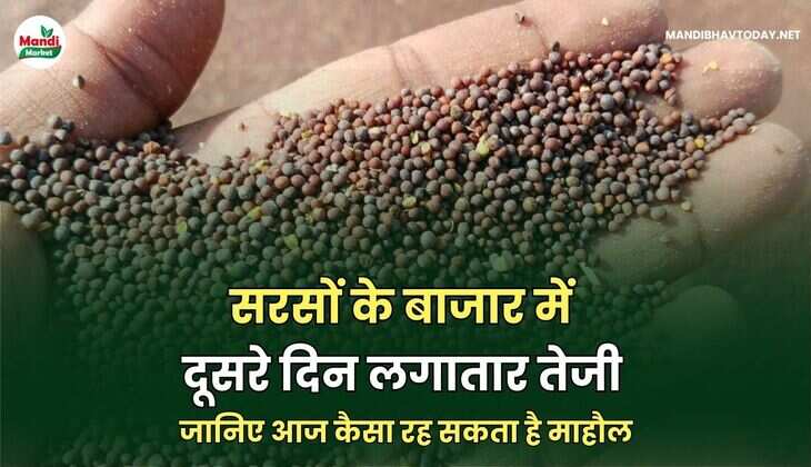 जानिए आज कैसा रह सकता है माहौल