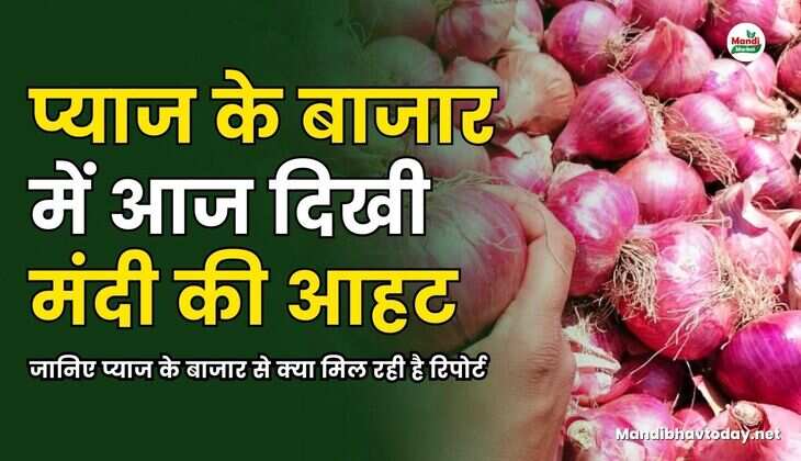 प्याज के बाजार में आज दिखी मंदी की आहट |  जानिए प्याज के बाजार से क्या मिल रही है रिपोर्ट