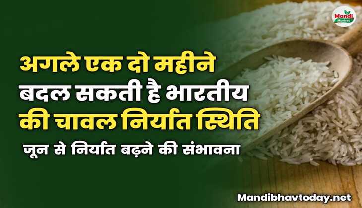 अगले एक दो महीने बदल सकती है भारतीय की चावल निर्यात स्थिति | जून से निर्यात बढ़ने की संभावना