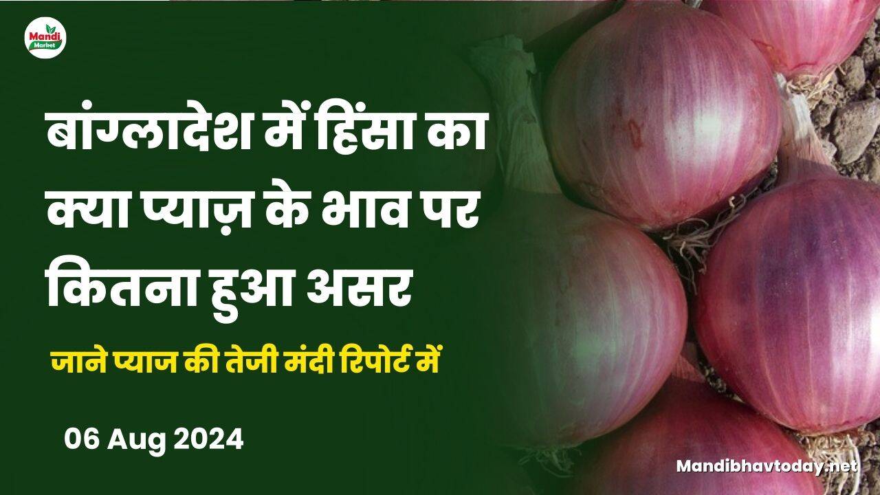जाने प्याज की तेजी मंदी रिपोर्ट में