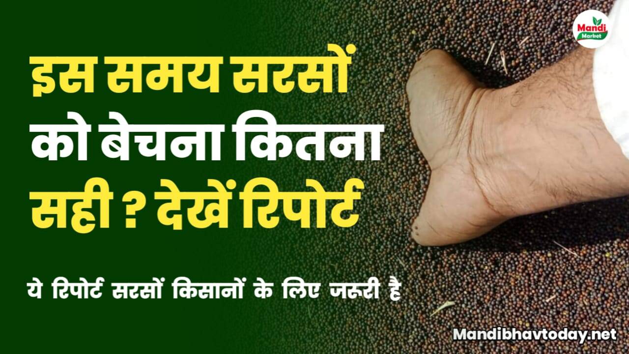 SARSO KAB BECHE