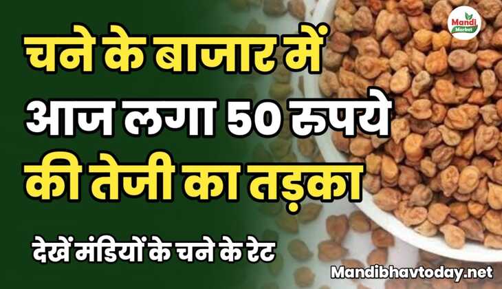 चने के बाजार में आज लगा 50 रुपये की तेजी का तड़का | देखें मंडियों के चने के रेट chane ke taja mandi bhav 3 february 2025