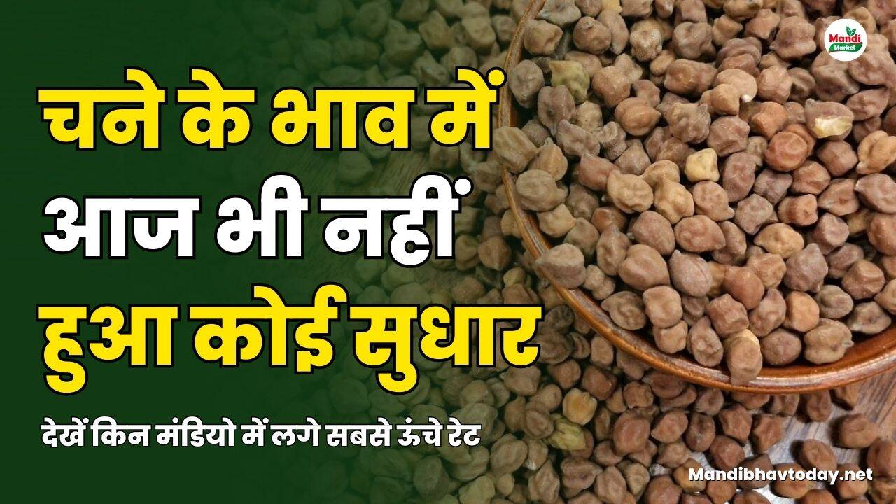 चना images