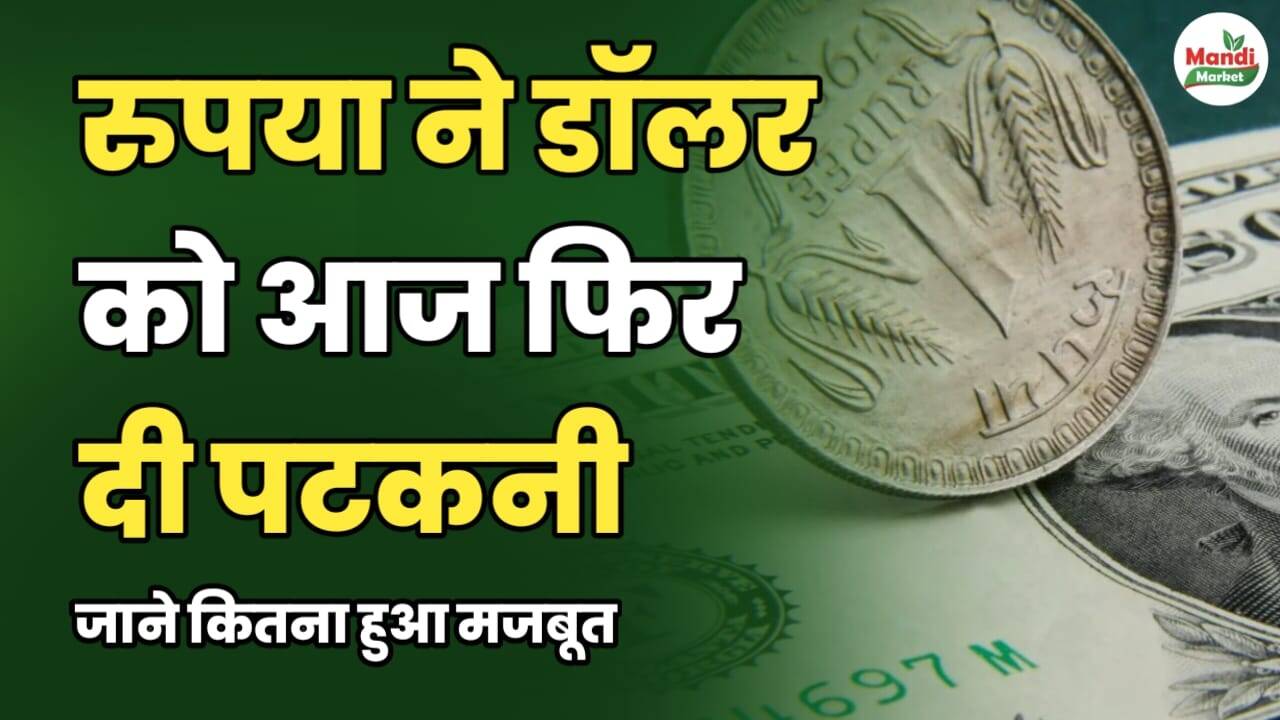 रुपए ने डॉलर को आज फिर दी पटकनी। जाने कितना हुआ मजबूत