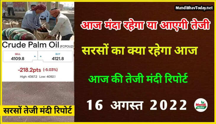 Mustard Weekly Report