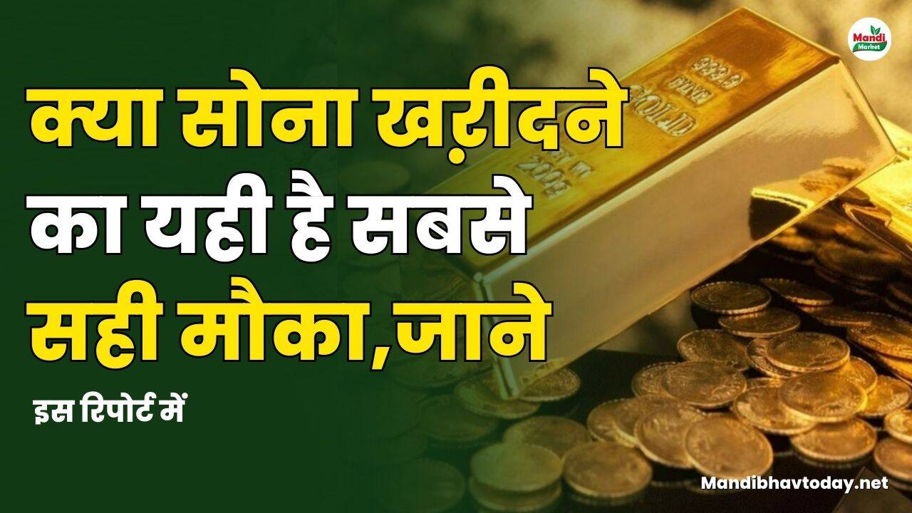 क्या सोना खऱीदने का यही है सबसे सही मौका | इस रिपोर्ट में जाने