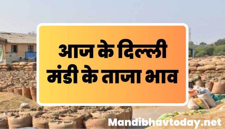देखे आज के दिल्ली मंडी के ताजा मंडी भाव | delhi mandi ke bhav 18 March 2025