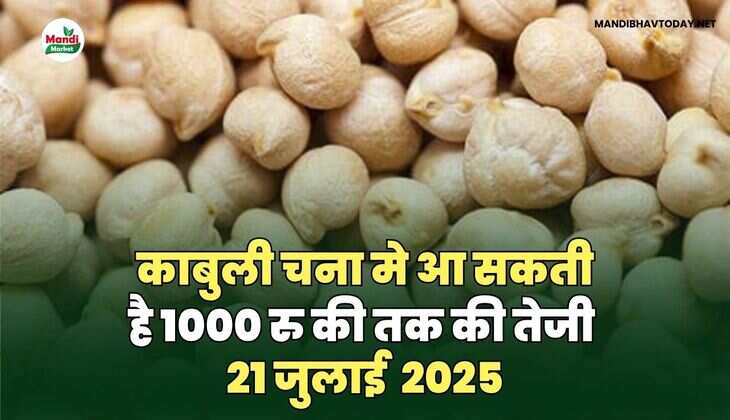 काबुली CHANA