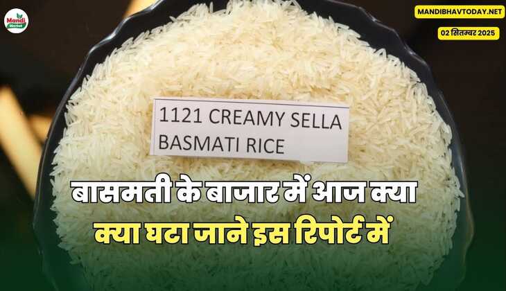 बासमती रिपोर्ट