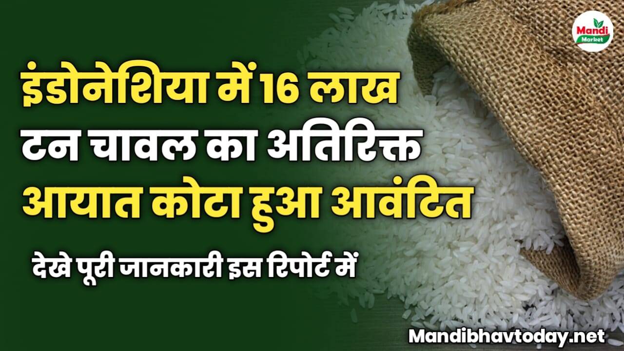 इंडोनेशिया में 16 लाख टन चावल का अतिरिक्त आयात कोटा हुआ आवंटित | जाने पूरी जानकारी इस रिपोर्ट में