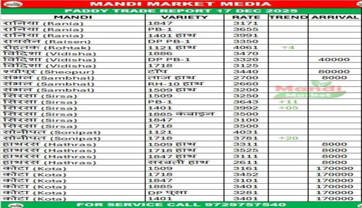 धान के बाजार की रिपोर्ट यहाँ देखे धान के ताजा रेट और तेजी मंदी की जानकारी