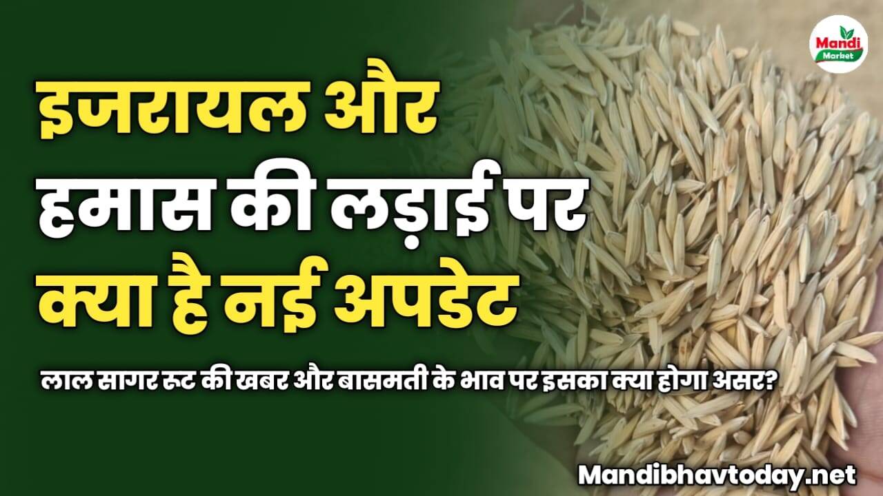इजरायल और हमास की लड़ाई पर क्या है नई अपडेट | लाल सागर रूट की खबर और बासमती के भाव पर इसका क्या होगा असर?