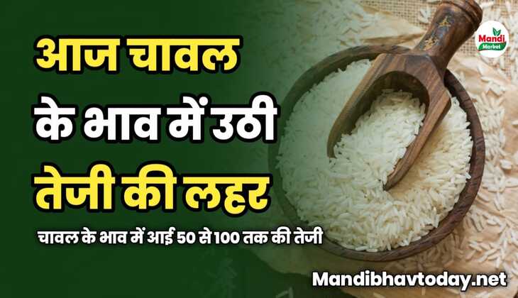 चावल के भाव में उठी तेजी की लहर | चावल के भाव में आई 50 से 100 तक की तेजी 
