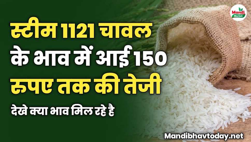 स्टीम 1121 चावल के भाव में आई 150 रुपए तक की तेजी | देखे क्या भाव मिल रहे है 