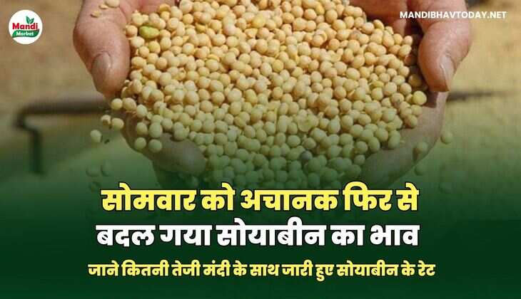  सोयाबीन के रेट