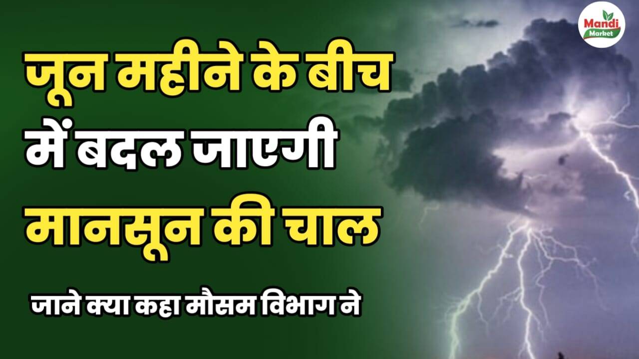 जून महीने के बीच में बदल जाएगी मानसून की चाल | जानें क्या कहा मौसम विभाग ने