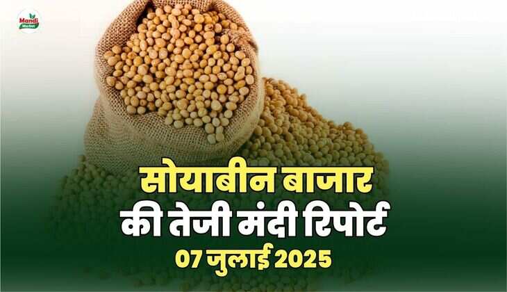 07 जुलाई 2025