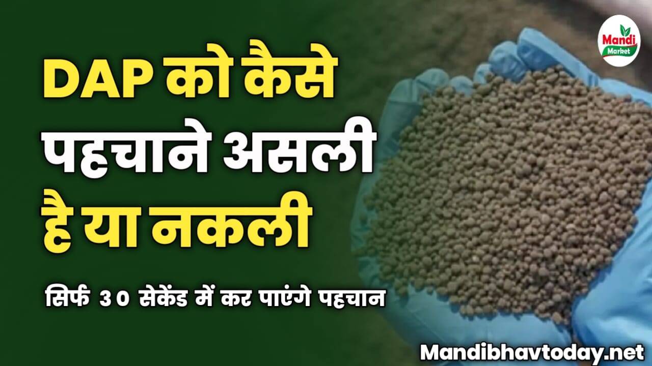DAP को कैसे पहचाने असली है या नकली | सिर्फ 30 सेकेंड में कर पाएंगे पहचान
