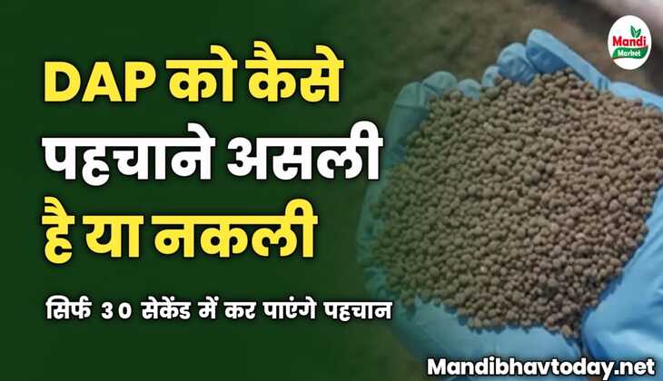 DAP को कैसे पहचाने असली है या नकली | सिर्फ 30 सेकेंड में कर पाएंगे पहचान 