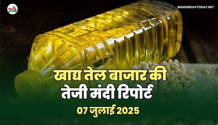 खाद्य तेल बाजार मे तेजी मंदी रिपोर्ट -07 जुलाई 2025