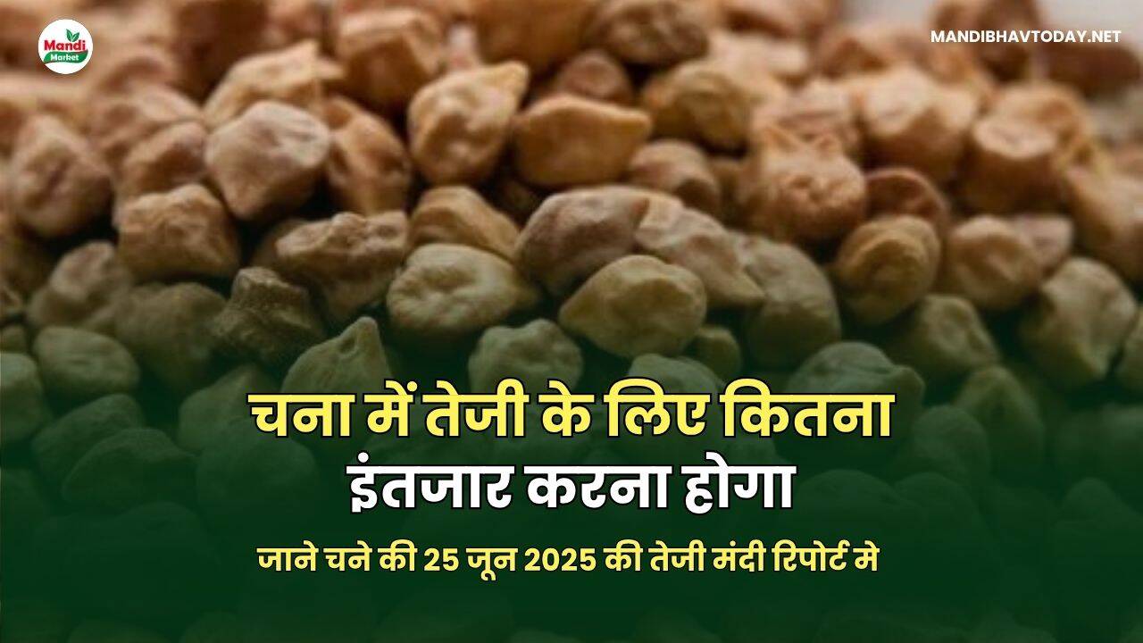 चना में तेजी के लिए कितना इंतजार करना होगा