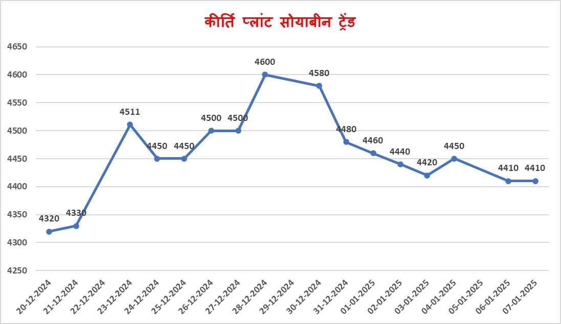 kiriti प्लांट 