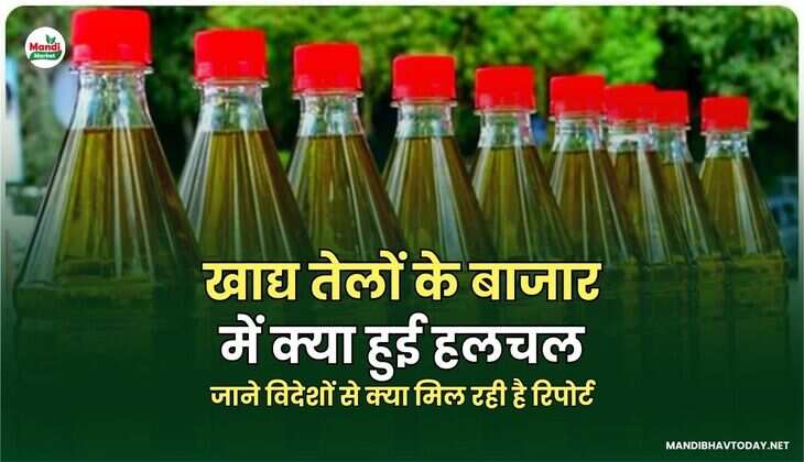 जाने विदेशों से क्या मिल रही है रिपोर्ट