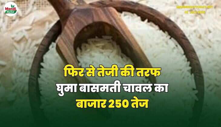 MANDI