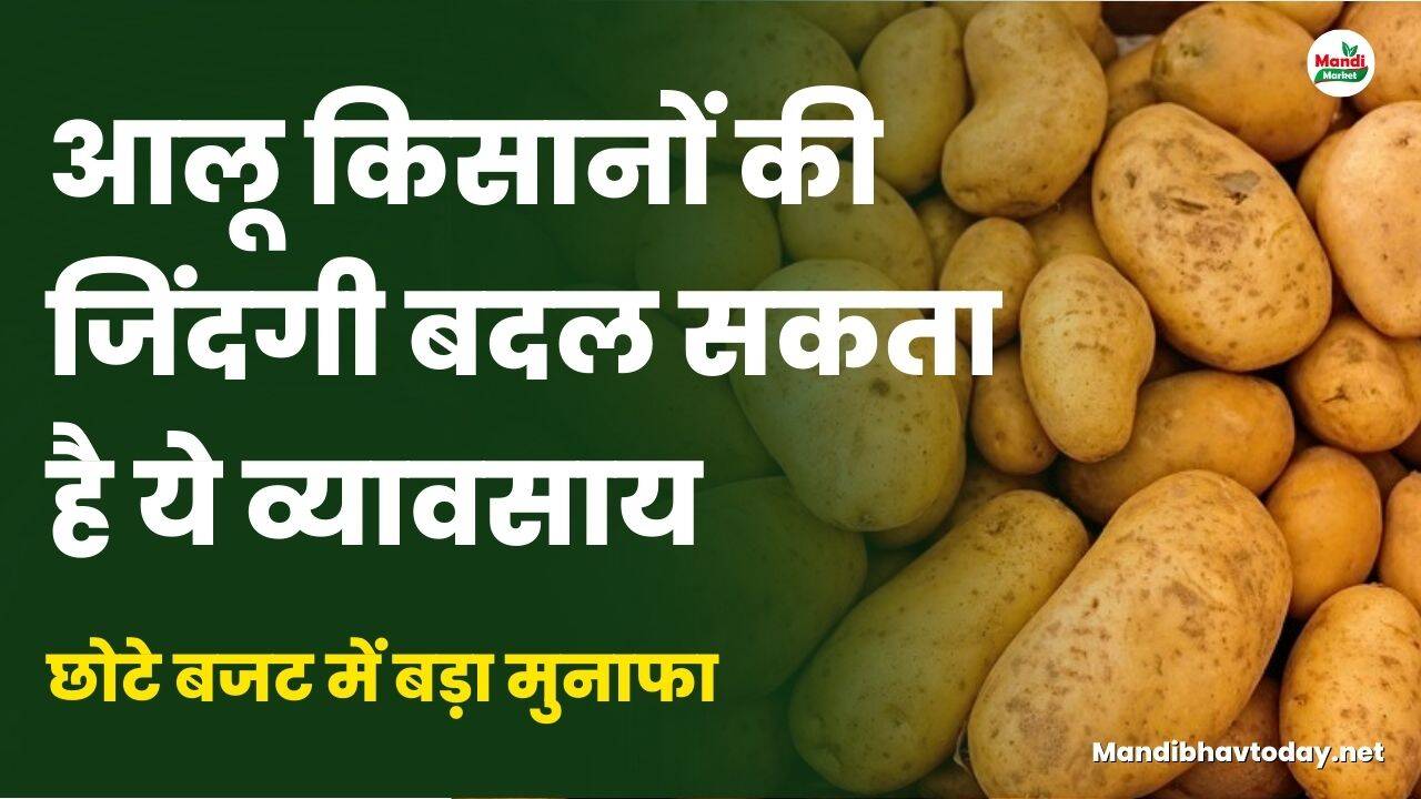 छोटे बजट में बड़ा मुनाफा | 