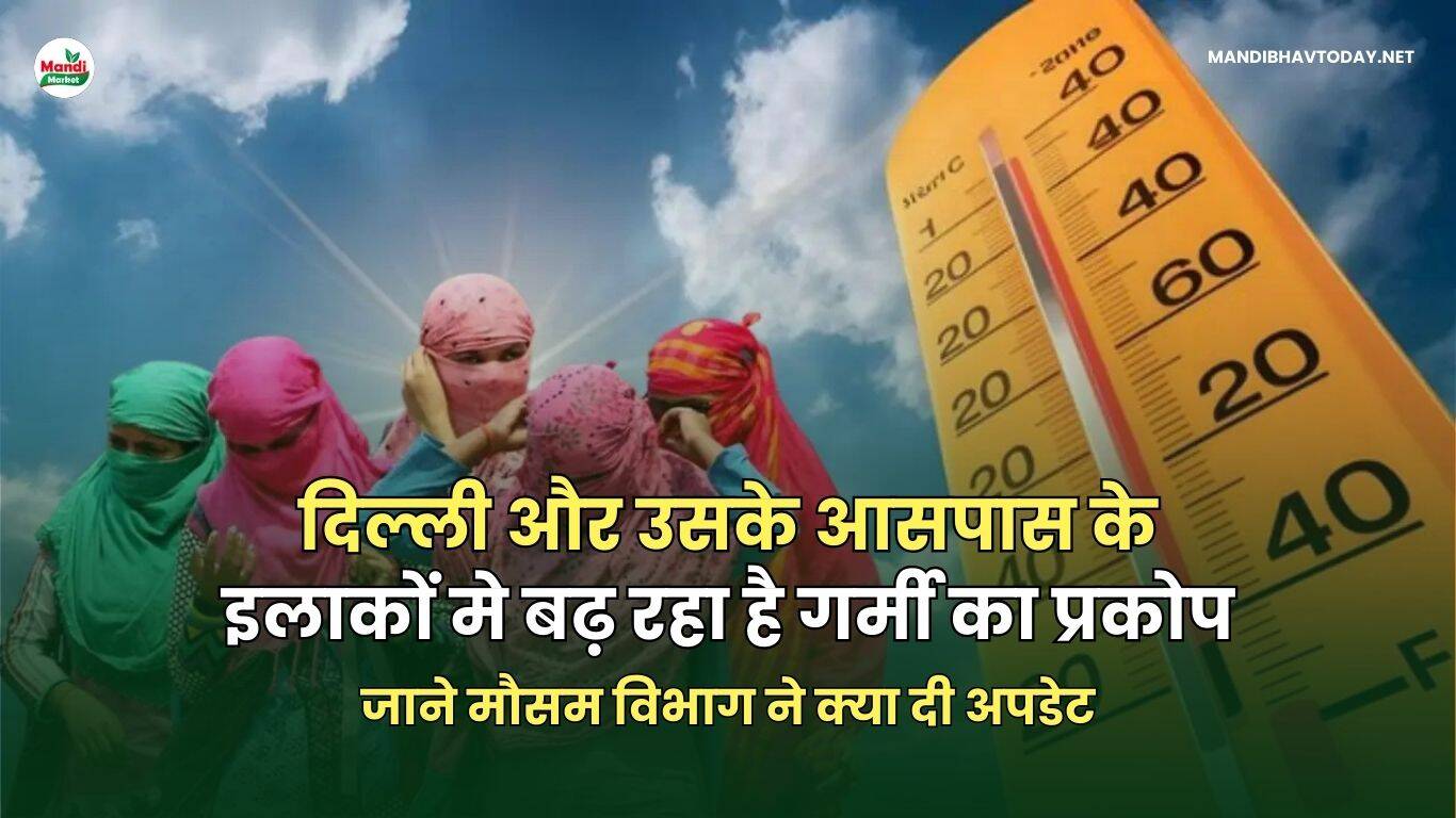 MANDIBHAVTODAY.NET