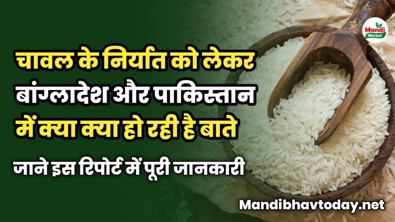 चावल के निर्यात को लेकर बांग्लादेश और पाकिस्तान में क्या हो रही बात | जाने इस रिपोर्ट में