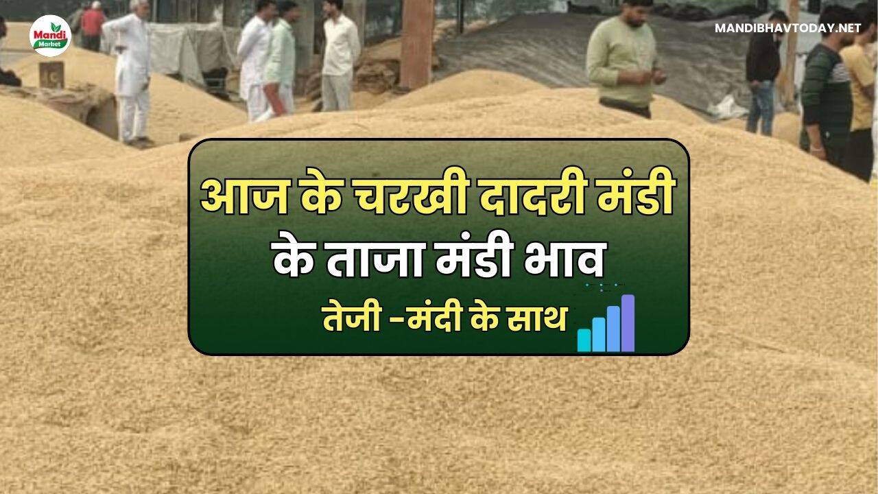 Charkhi Dadri Mandi Ke Bhav 07 May 25