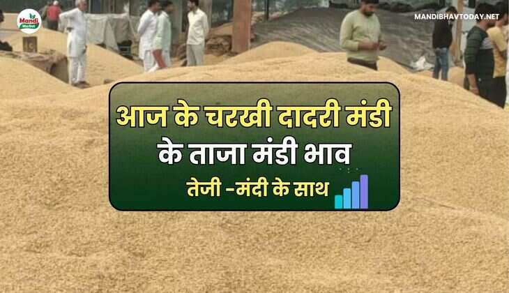 Charkhi Dadri Mandi Ke