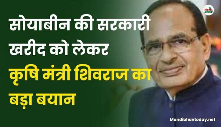 सोयाबीन की सरकारी खरीद को लेकर कृषि मंत्री शिवराज का बड़ा बयान | जाने पूरी डिटेल्स