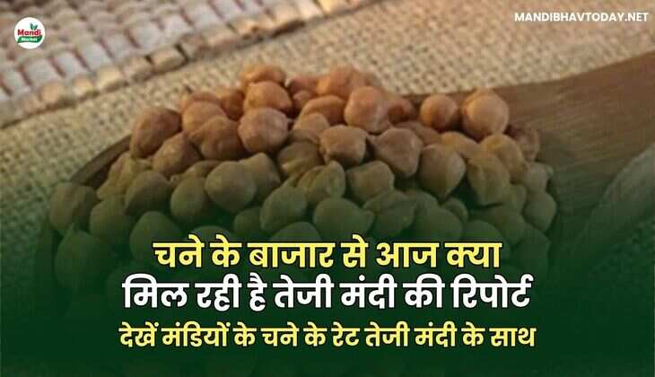 देखें मंडियों के चने के रेट तेजी मंदी के साथ