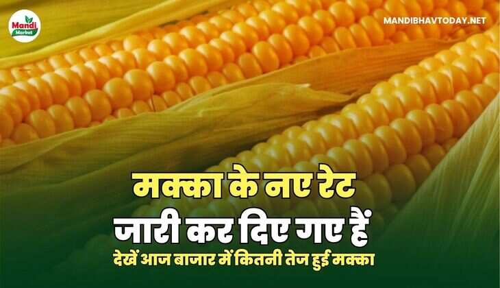 मक्का images