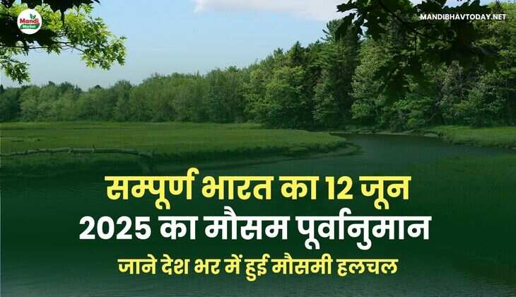 सम्पूर्ण भारत का 12 जून 2025 का मौसम पूर्वानुमान |  जाने देश भर में हुई मौसमी हलचल 