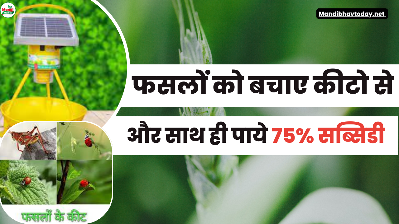 फसलों को बचाए कीटो से और साथ ही पाये 75% सब्सिडी