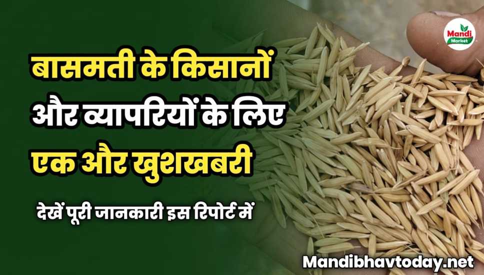 बासमती के किसानों और व्यापरियों के लिए एक और खुशखबरी | देखें पूरी रिपोर्ट