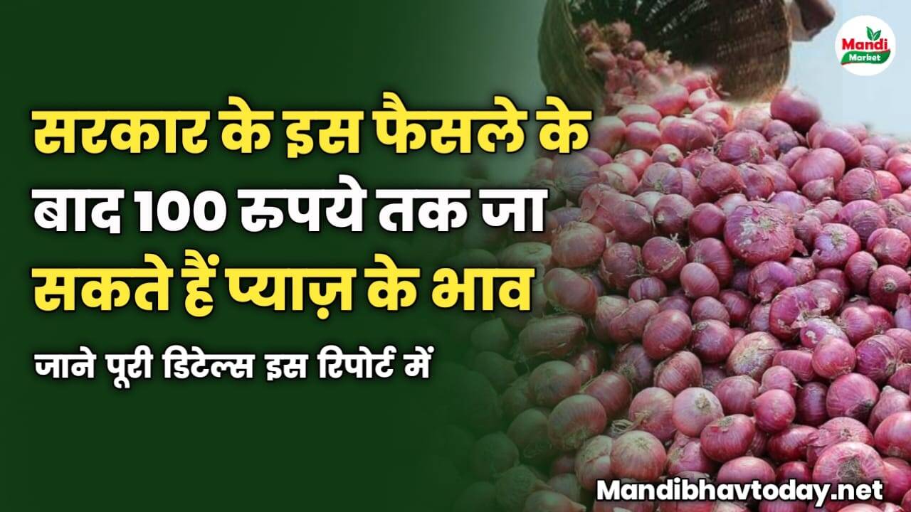 सरकार के इस फैसले के बाद 100 रुपये तक जा सकते हैं प्याज़ के भाव | जाने पूरी डिटेल्स