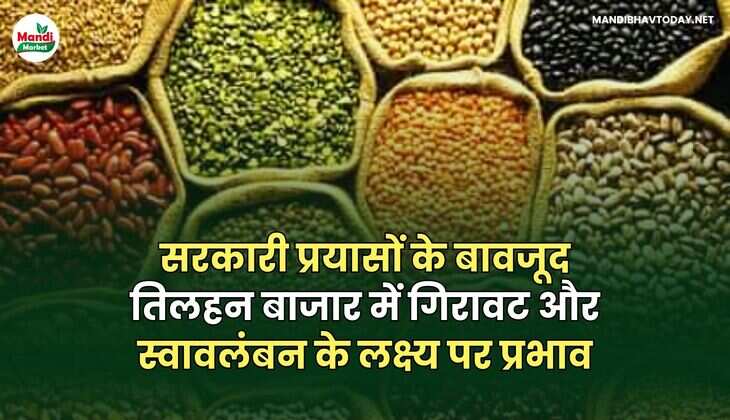 सरकारी प्रयासों के बावजूद तिलहन बाजार में गिरावट और स्वावलंबन के लक्ष्य पर प्रभाव