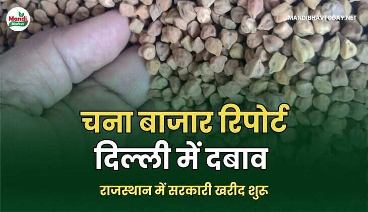 CHNA BHAV 