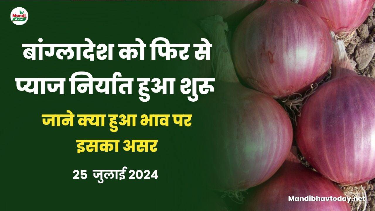 जाने क्या हुआ भाव पर इसका असर